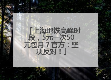 上海地铁高峰时段，5元一次50元包月？官方：坚决反对！