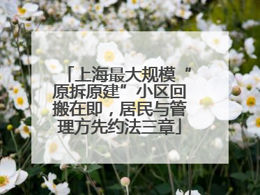 上海最大规模“原拆原建”小区回搬在即，居民与管理方先约法三章