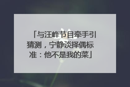 与汪峰节目牵手引猜测，宁静谈择偶标准：他不是我的菜
