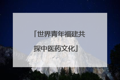 世界青年福建共探中医药文化