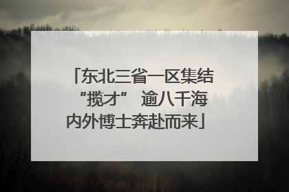 东北三省一区集结“揽才” 逾八千海内外博士奔赴而来