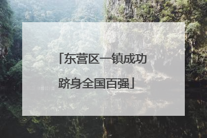 东营区一镇成功跻身全国百强