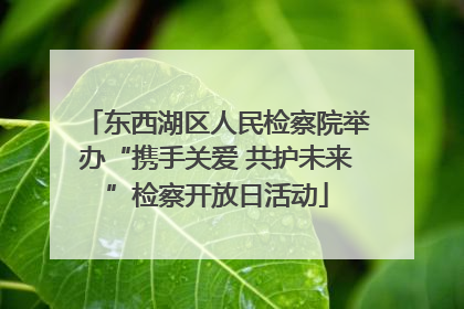 东西湖区人民检察院举办“携手关爱 共护未来”检察开放日活动