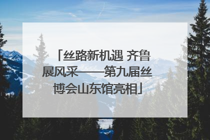 丝路新机遇 齐鲁展风采——第九届丝博会山东馆亮相