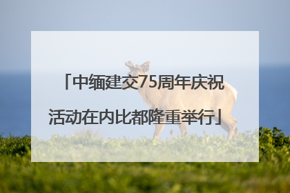 中缅建交75周年庆祝活动在内比都隆重举行