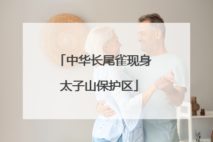 中华长尾雀现身太子山保护区