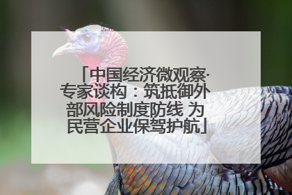 中国经济微观察·专家谈构：筑抵御外部风险制度防线 为民营企业保驾护航