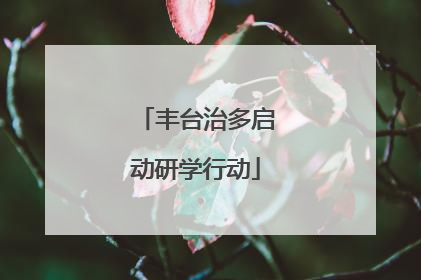 丰台治多启动研学行动