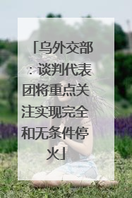 乌外交部：谈判代表团将重点关注实现完全和无条件停火