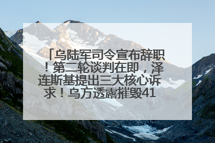乌陆军司令宣布辞职！第二轮谈判在即，泽连斯基提出三大核心诉求！乌方透露摧毁41架俄战略轰炸机