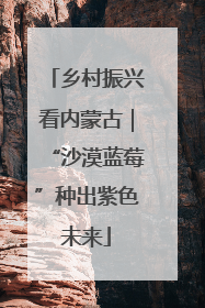 乡村振兴看内蒙古｜“沙漠蓝莓”种出紫色未来