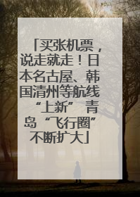 买张机票，说走就走！日本名古屋、韩国清州等航线“上新” 青岛“飞行圈”不断扩大