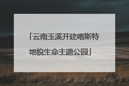 云南玉溪开建喀斯特地貌生命主题公园