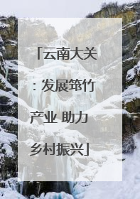 云南大关：发展筇竹产业 助力乡村振兴