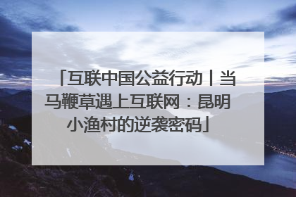 互联中国公益行动丨当马鞭草遇上互联网：昆明小渔村的逆袭密码