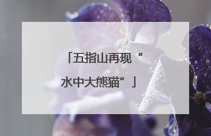 五指山再现“水中大熊猫”