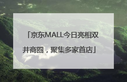京东MALL今日亮相双井商圈，聚集多家首店