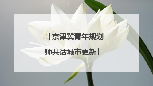 京津冀青年规划师共话城市更新