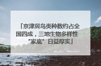 京津冀鸟类种数约占全国四成，三地生物多样性“家底”日益厚实
