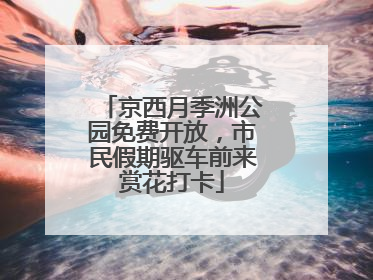 京西月季洲公园免费开放，市民假期驱车前来赏花打卡