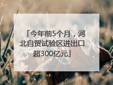今年前5个月，河北自贸试验区进出口超300亿元