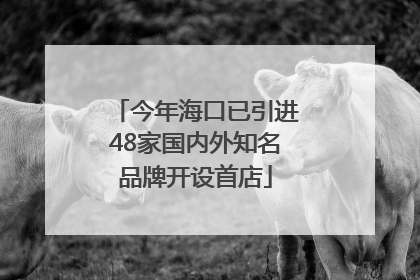 今年海口已引进48家国内外知名品牌开设首店