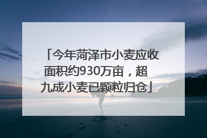 今年菏泽市小麦应收面积约930万亩，超九成小麦已颗粒归仓