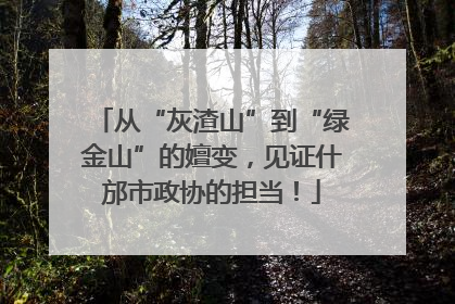 从“灰渣山”到“绿金山”的嬗变，见证什邡市政协的担当！