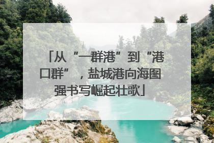 从“一群港”到“港口群”，盐城港向海图强书写崛起壮歌