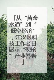 从“黄金水道”到“低空经济”，江汉区科技工作者日展示“硬核”产业答卷