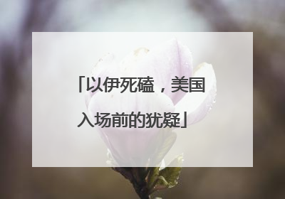 以伊死磕，美国入场前的犹疑