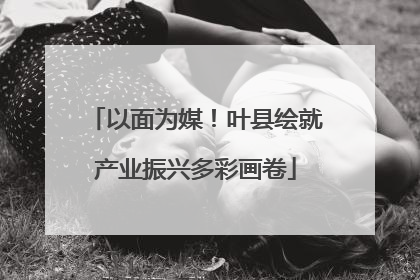 以面为媒！叶县绘就产业振兴多彩画卷