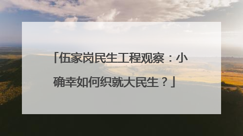 伍家岗民生工程观察：小确幸如何织就大民生？