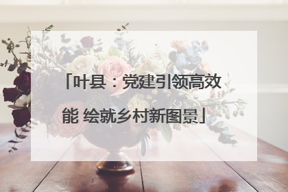叶县：党建引领高效能 绘就乡村新图景
