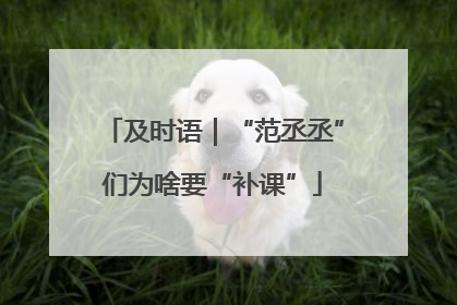及时语｜“范丞丞”们为啥要“补课”