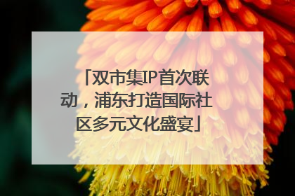 双市集IP首次联动，浦东打造国际社区多元文化盛宴