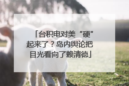 台积电对美“硬”起来了？岛内舆论把目光看向了赖清德