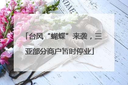 台风“蝴蝶”来袭，三亚部分商户暂时停业
