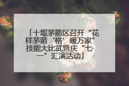 十堰茅箭区召开“花样茅箭‘格’暖万家”技能大比武暨庆“七·一”汇演活动
