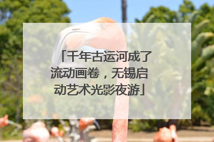 千年古运河成了流动画卷，无锡启动艺术光影夜游