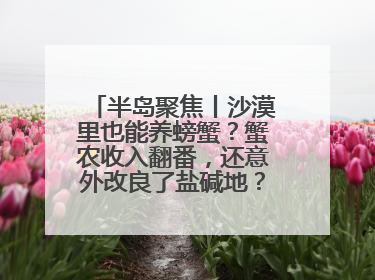 半岛聚焦丨沙漠里也能养螃蟹？蟹农收入翻番，还意外改良了盐碱地？咋做到的？