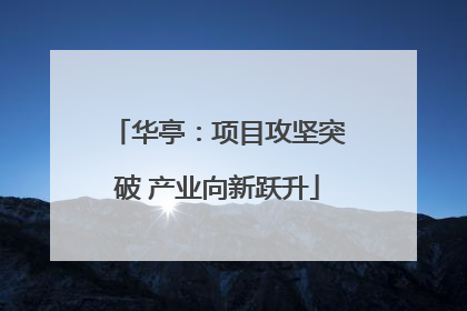 华亭：项目攻坚突破 产业向新跃升