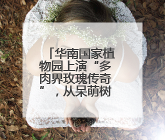 华南国家植物园上演“多肉界玫瑰传奇”，从呆萌树干到炸裂种子全是戏！
