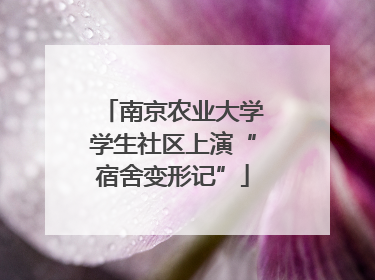 南京农业大学学生社区上演“宿舍变形记”