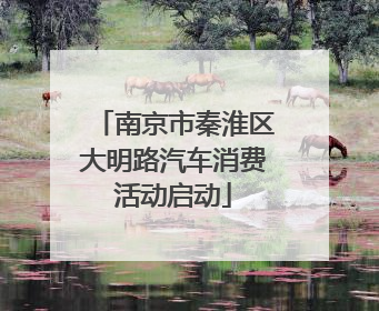 南京市秦淮区大明路汽车消费活动启动