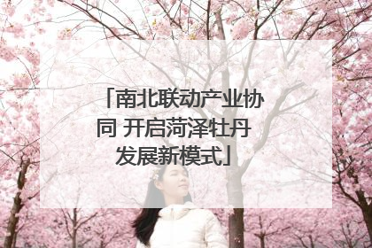 南北联动产业协同 开启菏泽牡丹发展新模式