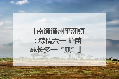 南通通州平潮镇：粽情六一 护苗成长多一“典”