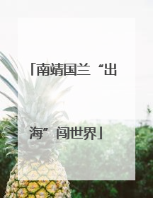 南靖国兰“出海”闯世界