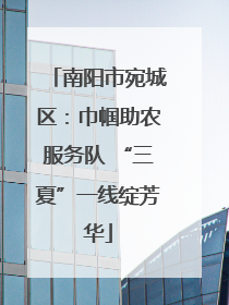 南阳市宛城区：巾帼助农服务队 “三夏”一线绽芳华