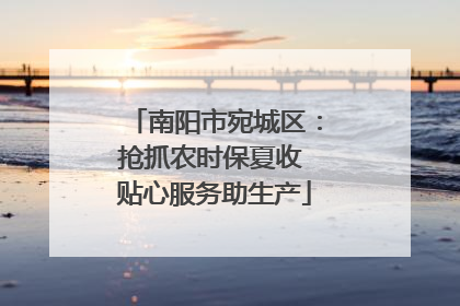 南阳市宛城区：抢抓农时保夏收 贴心服务助生产